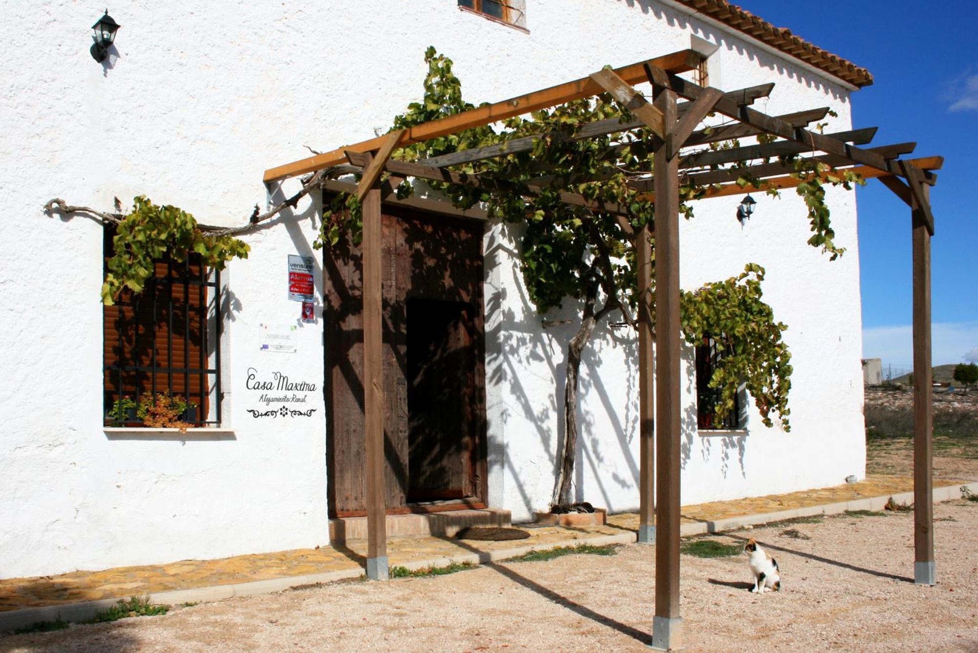 Casa Rural Casa Maxima Yecla Ngoại thất bức ảnh