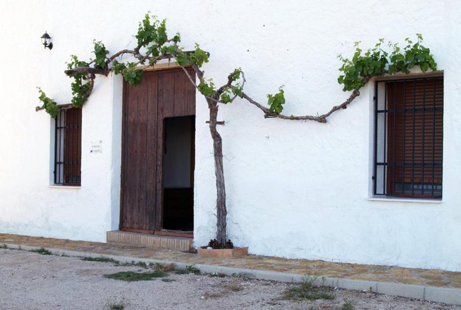 Casa Rural Casa Maxima Yecla Phòng bức ảnh